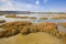 Skocjanski Zatok marshland and the town of Koper in Primorska, Slovenia