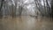Skokomish river floods from heavy rain