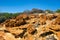 Skolithos fossils in sandstone, Kalbarri, Western Australia.