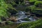 Skrivan creek in Krusne mountains in summer nice sunny day