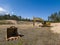 Skrunda, Latvia - May 3, 2022: Yellow excavator JCB JS 220 LC and removed rusty excavator bucket is located in a quarry