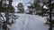 Skuleberget trail on the High Coast in winter in Sweden