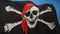 Skull and Crossbones Flag - Jolly Roger