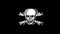 Skull And Crossbones icon Vintage Twitched Bad Signal Animation.