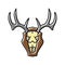 skull deer horn animal color icon vector illustration