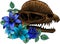 skull of dilophosaurus dinosaur vector illustration design