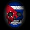 Skull flag Cuba