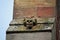 Skull gargoyle at Melrose Abbey Scotland 
