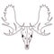 skull head of wild moose icon