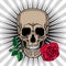 Skull holding a rose in his mouth