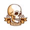 Skull logo templatewith ribbon, great design for any purposes