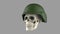 Skull in military helmet on a gray background