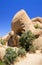 Skull Rock, Joshua Tree