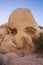 Skull Rock Joshua Tree National Park