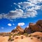 Skull rock in Joshua tree National Park Mohave California