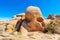 Skull shaped Rock in Joshua Tree National Park USA