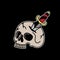 Skull skeleton knife color black background