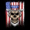 Skull uncle sam usa flag vector illustration