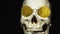 Skull with US Dollar bills in his mouth, bitcoins on the eyes. dark background