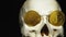 Skull with US Dollar bills in his mouth, bitcoins on the eyes. dark background