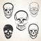 Skull vector sketches set