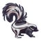 Skunk icon, cartoon style