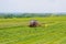 Skutech, Czech Republic, 4 June 2020: A small tractor with a rotary rake rakes freshly cut grass in the field