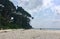 The sky above the green forest soil water sand along the sea