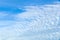 Sky with altocumulus floccus clouds