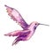 Sky bird colibri in a wildlife isolated. Watercolor background set. Isolated hummingbird illustration element.