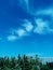 Sky, blue, cloud, cloud-sky, tree, green-blue, nature