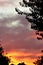 Sky, Celestial Sphere, in Maricopa County, Mesa, Arizona, United States