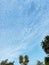 Sky, cloud and plants