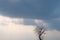 Sky clouds cloudy panorama landscape vision detail winter wintry nature feeling