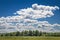 Sky clouds field forest