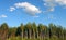 Sky, clouds and forest