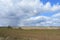 Sky, clouds. Forest in the distance. Fields of fresh green grass. Agricultural