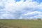Sky, clouds. Green grass, trees. Forest in the distance. Fields of young grass. Agricultural