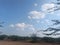 Sky with clouds and green tree feel like heaven