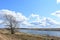 Sky, clouds. Meandering river. Grass on the low banks of the river and a lone tree. Forest in the distance. Rural view