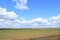 Sky, clouds over the field. Forest in the distance. A large field of young grass, boundless. Agricultural