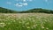 Sky and clouds timelapse. summer landscape