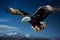 Sky dominion eagle in flight, framed against a brilliant blue