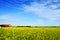 Sky, farm and canola or rapeseed field