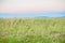 Sky, Field, Meadow, Plain, Farm