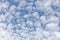 Sky with fluffy altocumulus / mackerel skies clouds