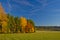 Sky forest tree pine cloud horizon spruce birch grass nature wildfire autumn