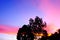 the sky is full of beautiful colors at dusk, seen behind the silhouettes of trees in the dry season