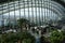 Sky garden London visitors happy