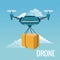 Sky landscape background robot drone carrying box with pair of airscrew